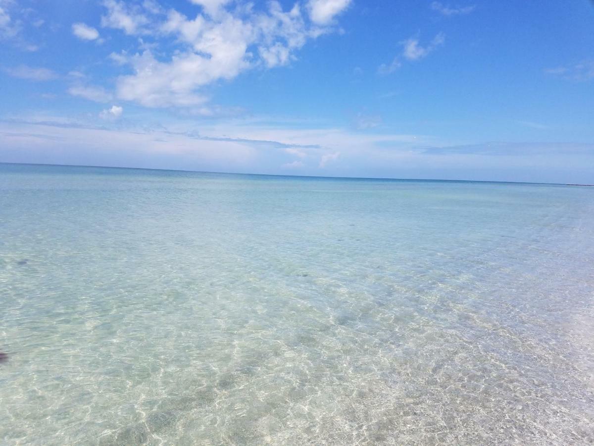 Amazing Panoramic Beach View And The Most Beautiful Sunset Longboat Key Bagian luar foto